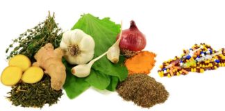 Antibiotici naturali: quali sono?