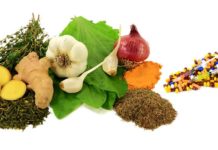 Antibiotici naturali: quali sono?